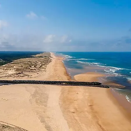 Lou Cout - A 200m De L'ocean